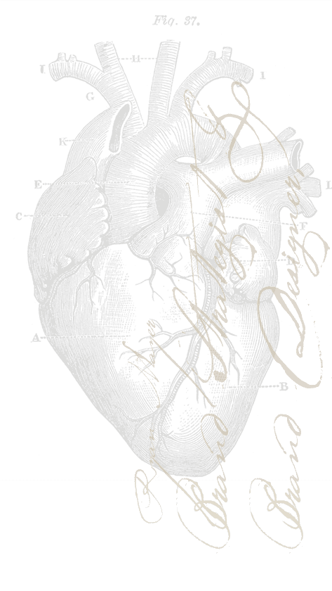 illus_Heart-Home